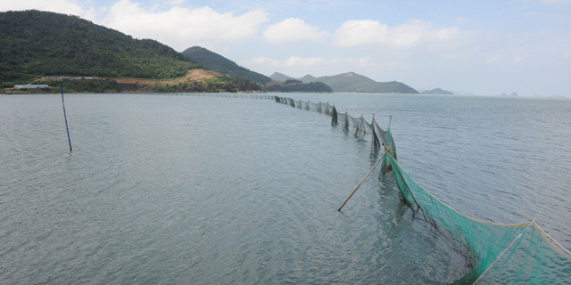 개매기 체험의 개매기 모습